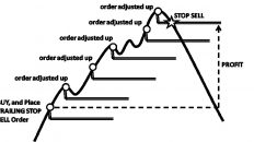 Trailing Stop Loss Order
